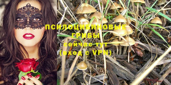 не бодяженный Балахна