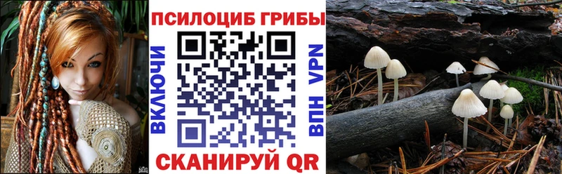 Галлюциногенные грибы Psilocybine cubensis  цена   Давлеканово 